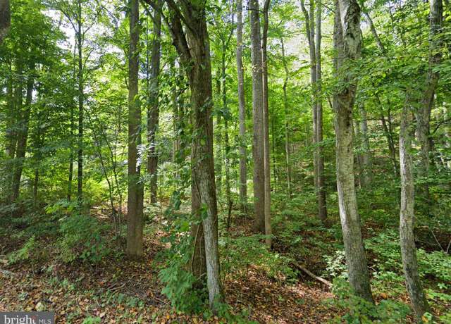 Property at 0 Mosbys Camp Rd, Stanley, VA 22851