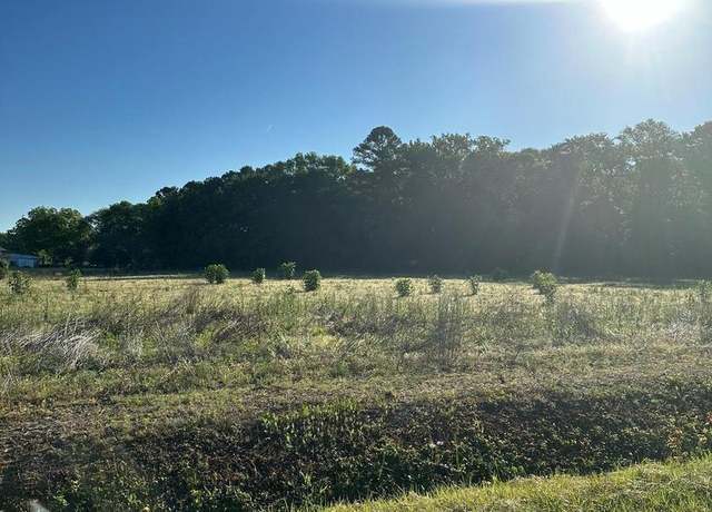 Property at 0 Lynch Rd, Selbyville, DE 19975