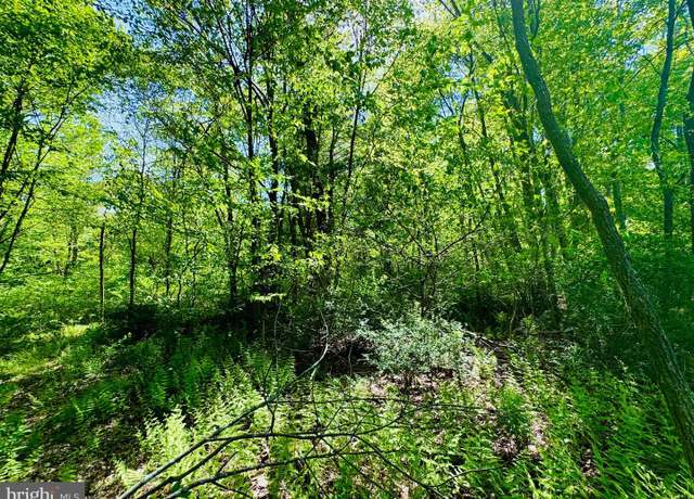 Property at Lot: 43 Paradise Pt, James Creek, PA 16657