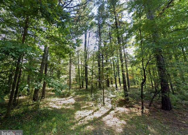 Property at 00 Scoonover Rd, Craigsville, VA 24430