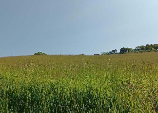 Property at 972 Tulls Hill Rd, Manns Choice, PA 15550