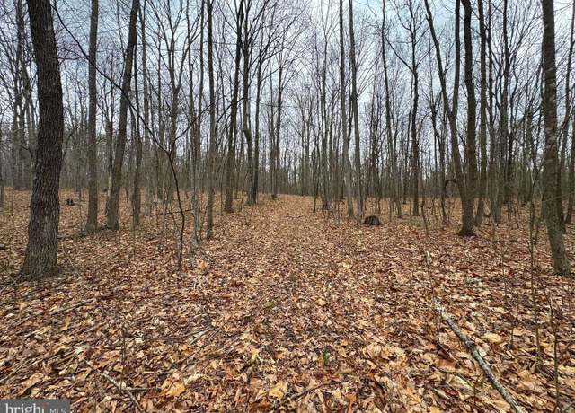 Property at Lots 3 and 4 Ernest Robinson Rd, Marshall, VA 20115