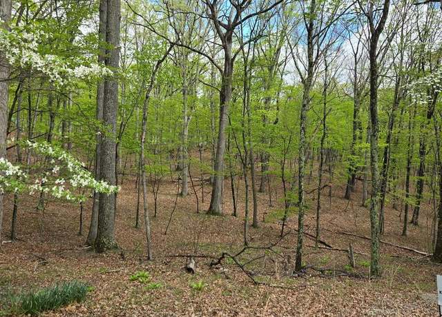 Property at Pioneer Trl, Great Cacapon, WV 25422