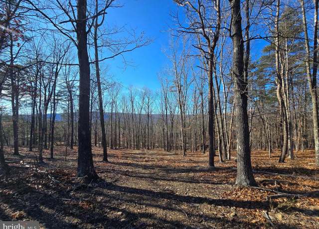 Property at Timber Ridge Road - Pcl 17.1, Berkeley Springs, WV 25411