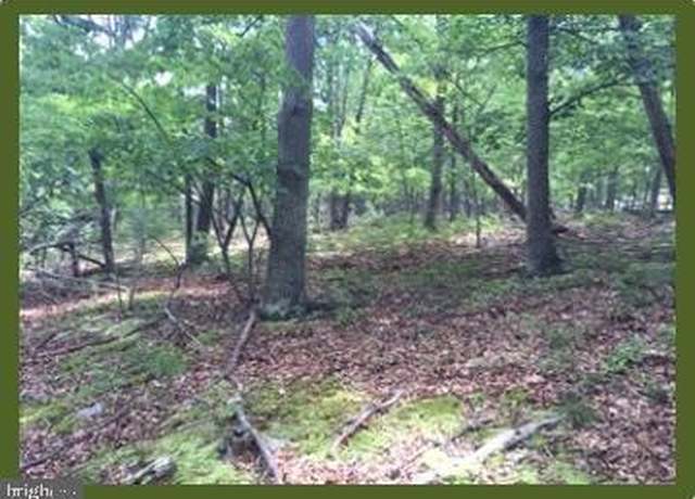 Property at Off Rt. 220/cut Off, Keyser, WV 26726
