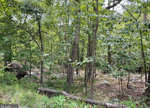 Property at 0 Opossum Trl, Winchester, VA 22602