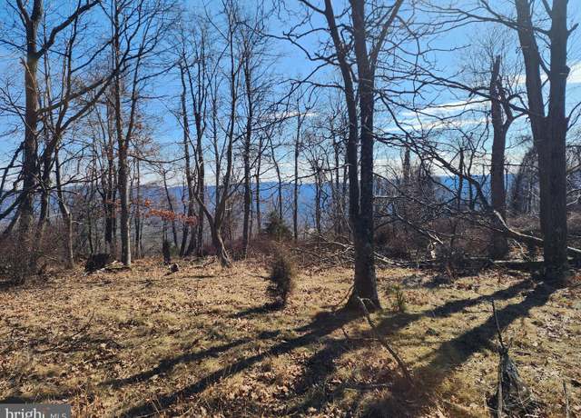 Property at LOT 111 River Rdg, Yellow Spring, WV 26865