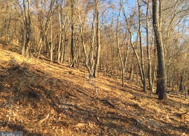 Property at Rt 5/10 (buffalo Hills Road), Franklin, WV 26807