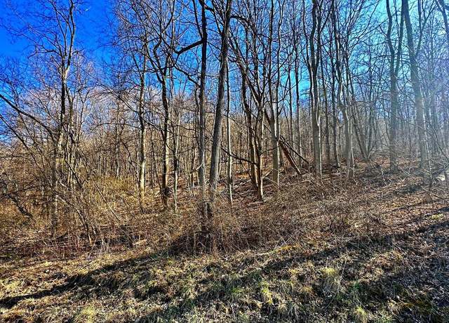 Property at 30 Ac Dumpling Run Rd, Moorefield, WV 26836