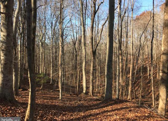Property at 8228 Shadowridge Dr, Fairfax Station, VA 22039