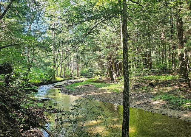 Property at 327.9 Acres Mahaffey Grampian Hwy, Mahaffey, PA 15757