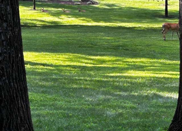 Property at 3301 S Leisure World Blvd Unit 99-1G, Silver Spring, MD 20906, 1 bed, 1 bath