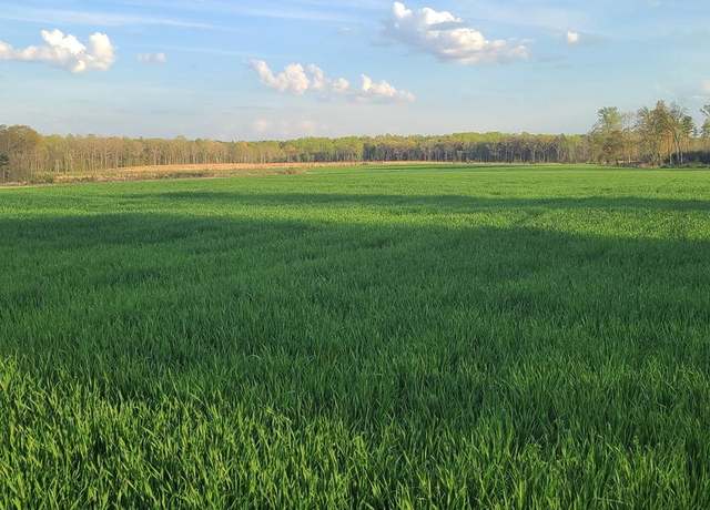 Property at Lot #2 Cedar Fork Rd, Ruther Glen, VA 22546