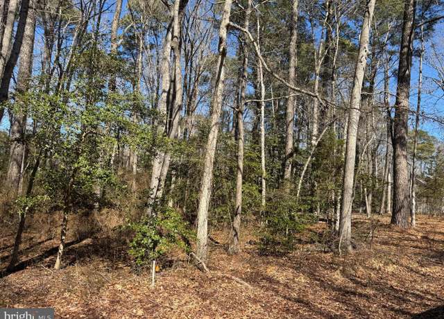 Property at Lot 2055 Neptune Ct, Greenbackville, VA 23356