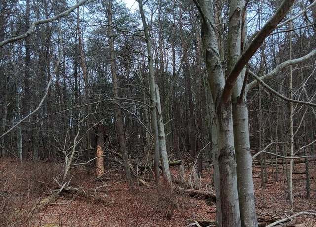 Property at 0 Bunker Hill Rd, Everett, PA 15537