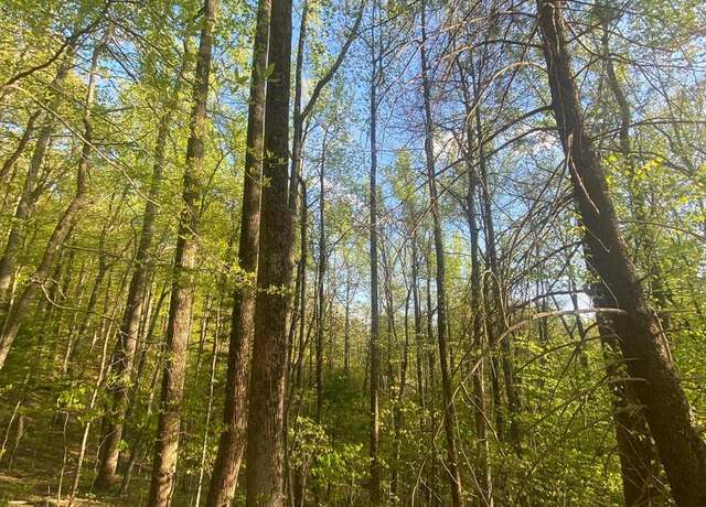 Property at 0 Revenooer Rd, Madison, VA 22727
