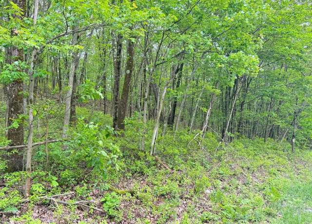 Property at 182 Salem Mountain Rd, Carbondale, PA 18407