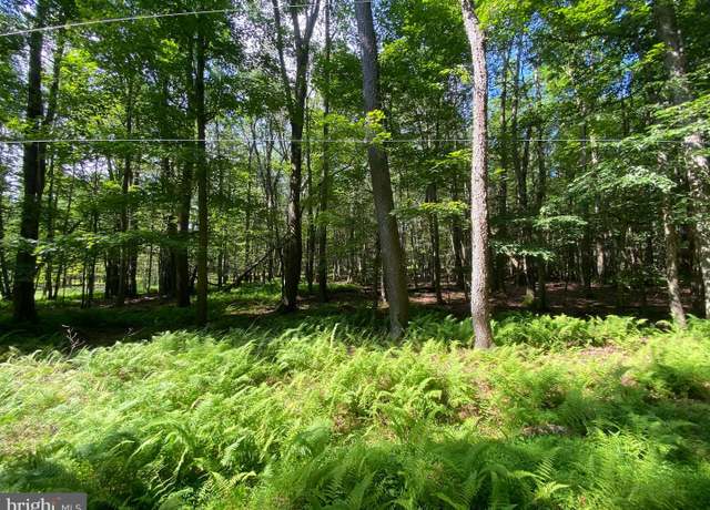 Property at Lot 4 Basswood Dr, South Sterling, PA 18445