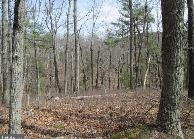 Property at Rt 259/4, Mathias, WV 26812
