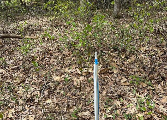 Property at Parcel 91 Cool Spg, Marydel, MD 21649