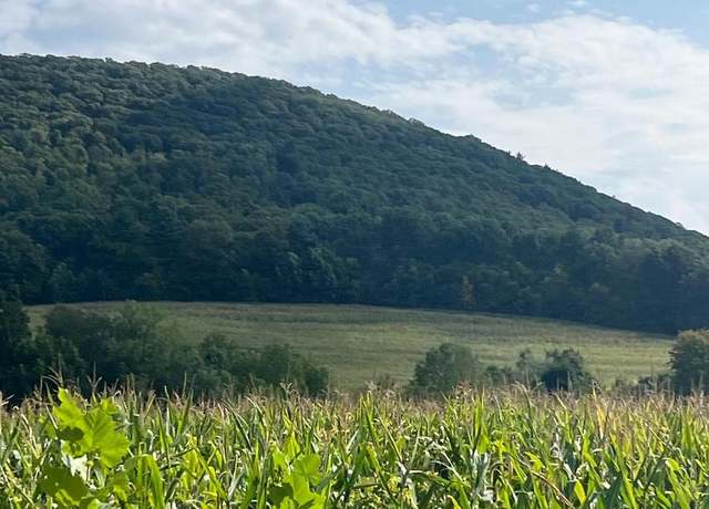 Property at 0 Ridge Rd, Klingerstown, PA 17941