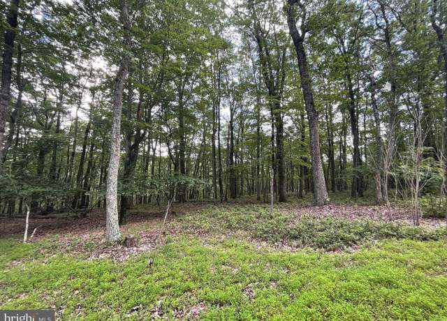 Property at 124 Spring Mountain Dr, Zion Grove, PA 17985