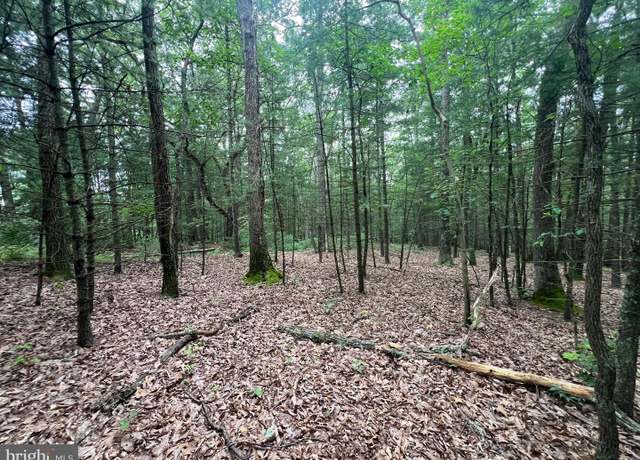 Property at Lot 7 Robinsonville Rd, Clearville, PA 15535