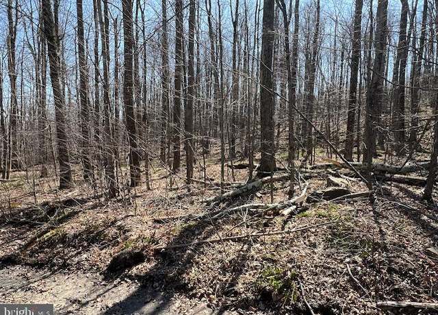 Property at Wheeler Rd, South Sterling, PA 18445