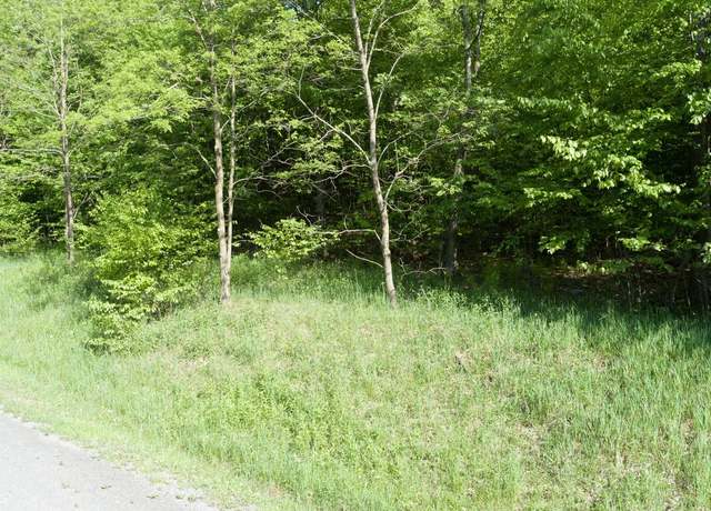 Property at 84 Lower Camp Rd, Mc Henry, MD 21541