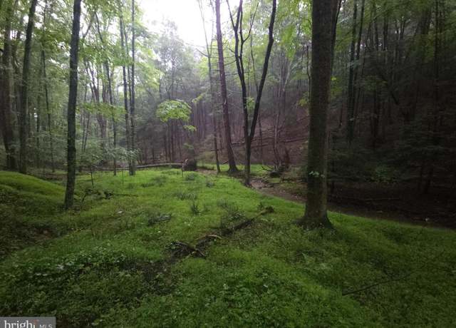 Property at 0 Spriggle Hollow Rd, Elliottsburg, PA 17024