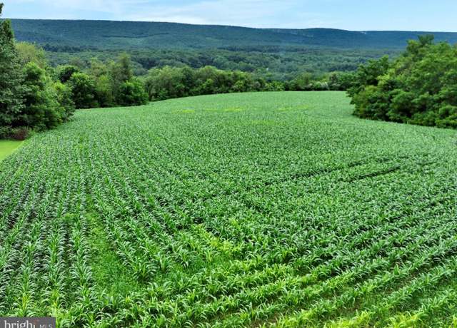 Property at Moyers Station And Summer Hill Rds, Schuylkill Haven, PA 17972