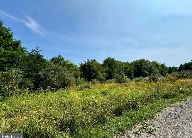 Property at Lot 48 Warden Hollow S-d Lk, Wardensville, WV 26851