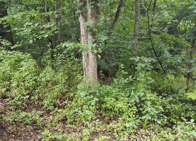 Property at Lot 10 Magnolia Dr, Front Royal, VA 22630