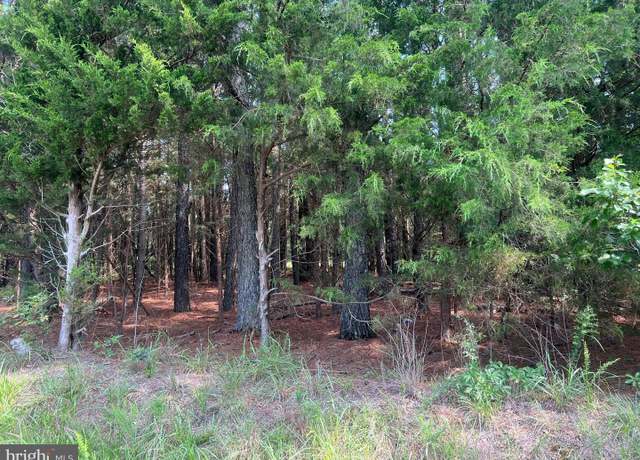 Property at 0 Tidewater Trl, Center Cross, VA 22437