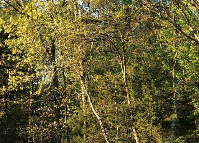 Property at 12038 Nokesville Rd, Bristow, VA 20136