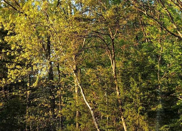 Property at 12054 Nokesville Rd, Bristow, VA 20136