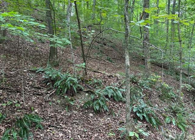 Property at Off Reynoldsdale Rd, New Paris, PA 15554