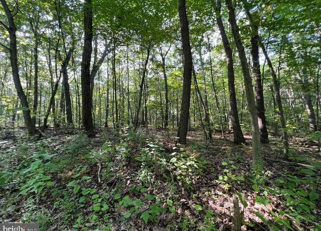 Property at 117 & 118 Kittanning (overland Pass) Run, Claysburg, PA 16625