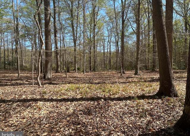 Property at Mt Nebo Rd, Chesapeake City, MD 21915