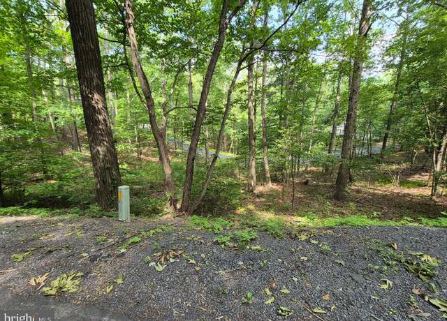 Property at Dawn, Basye, VA 22810
