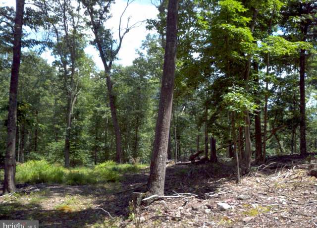 Property at 0 Harrison Holw, Franklin, WV 26807