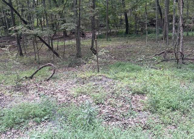 Property at Undisclosed address, Bloomery, WV 26817