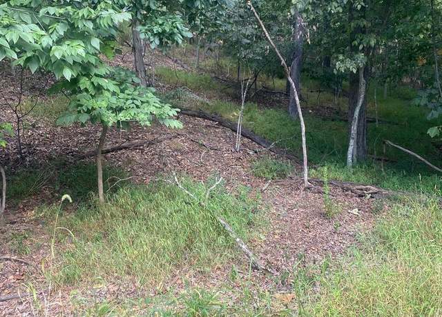 Property at 1116 Lakeview Dr, Cross Junction, VA 22625