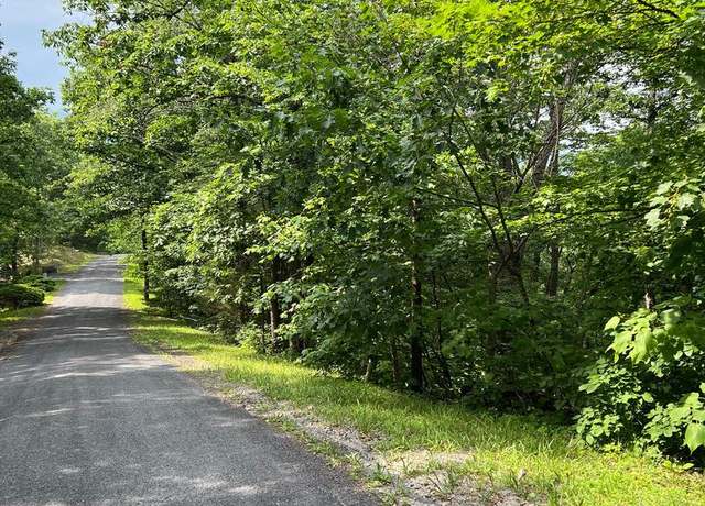 Property at Lot 156 & 158 Vicki, Basye, VA 22810