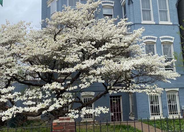 Property at 656 12th St NE, Washington, DC 20002, 3 beds, 1.5 baths