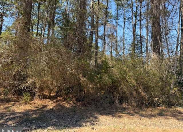 Property at 1102 Amidship Dr, Greenbackville, VA 23356