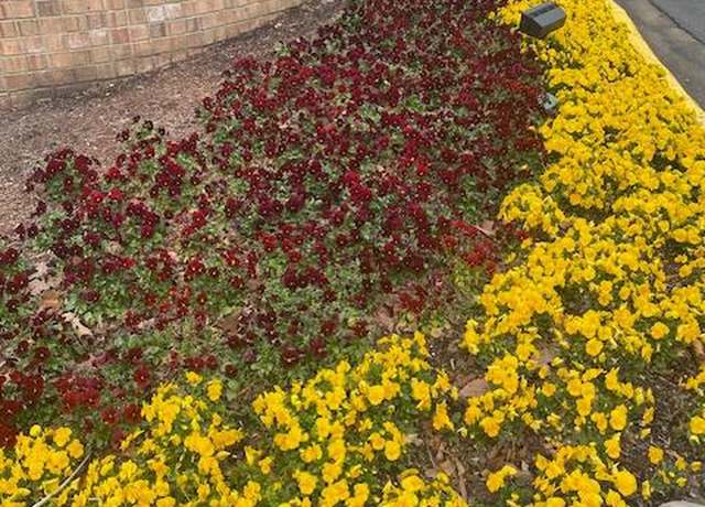 Property at 307 Yoakum Pkwy #1801, Alexandria, VA 22304, 1 bed, 1 bath