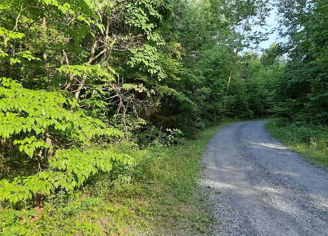Property at Brush Leaf Ln, Mount Jackson, VA 22842