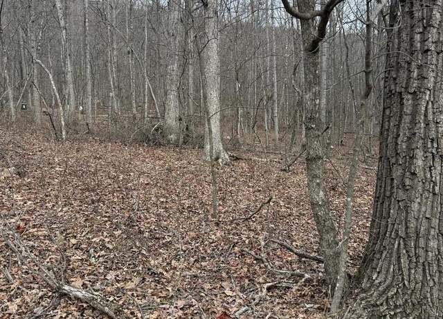 Property at Lt 187 Mine Mountain Ln, Fort Valley, VA 22652