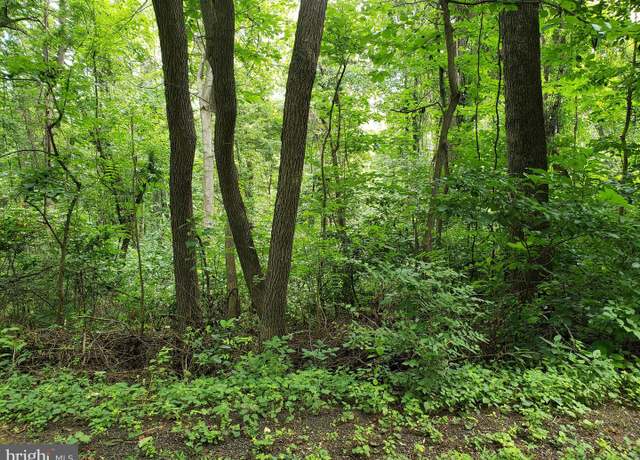 Property at Lots 1-2 Blackbird Way, Front Royal, VA 22630